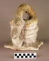 Plaster cast of a coiled snake, unpainted.