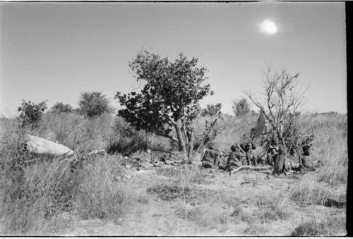 Group of people sitting by a fire, distant view