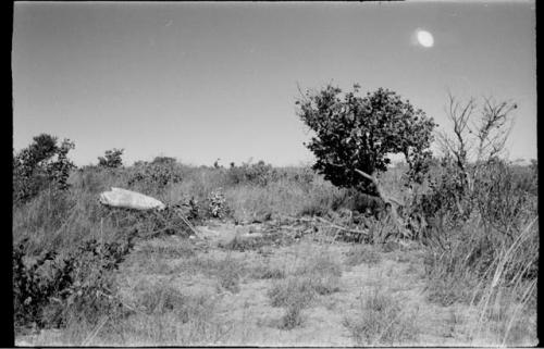 Group of people sitting, distant view