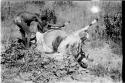 Oukwane and !Gai skinning the gemsbok