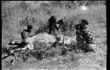 Oukwane and !Gai skinning a gemsbok; John Marshall kneeling while filming