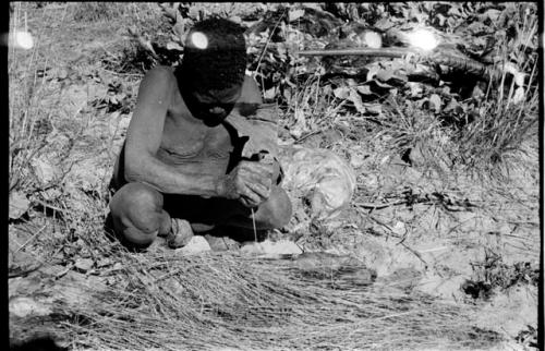 Oukwane squeezing gemsbok stomach contents using grass as a sieve