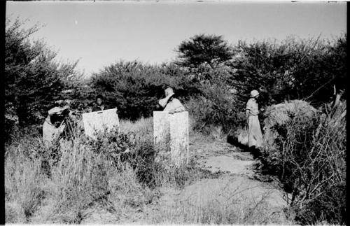 Daniel Blitz filming with a camera on tripod; Dabe and Laurence Marshall holding reflectors