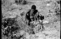 Oukwane squeezing the stomach contents of gemsbok using a grass sieve