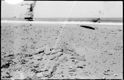 Pile of stones and bones on beach