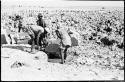 Men moving blocks of salt at Bitters Pan