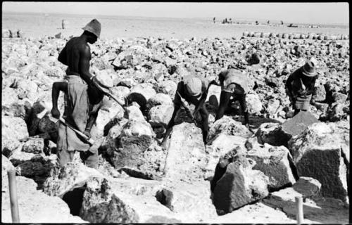 Men breaking up blocks of salt at Bitters Pan