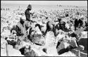 Men breaking up blocks of salt at Bitters Pan