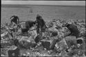 Men breaking up blocks of salt at Bitters Pan