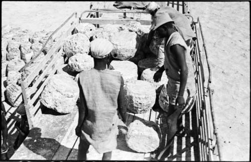 Men standing in a truck bed looking at salt blocks at Bitters Pan