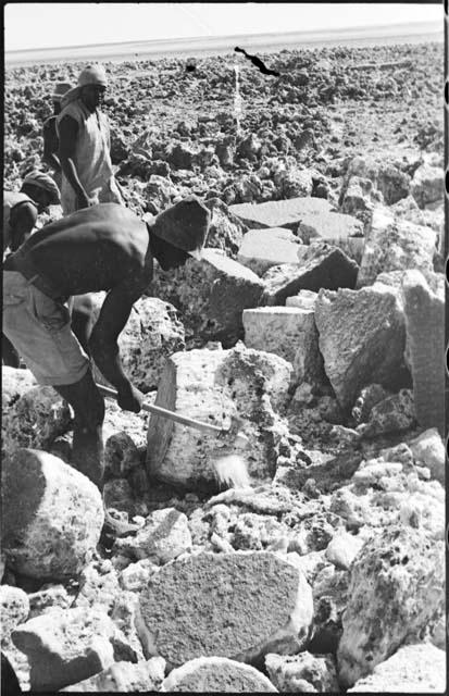 Men breaking up blocks of salt at Bitters Pan