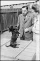 Woman and man standing and watching a dog doing a trick