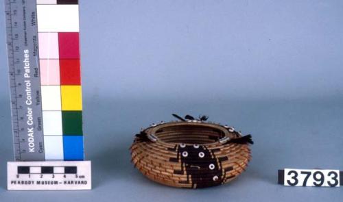 Small coiled basket, brown woven design, feather and shell ornament.