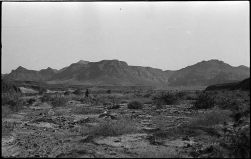 Person standing in brush, with hills in background