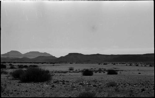 Brush, with hills in the distance