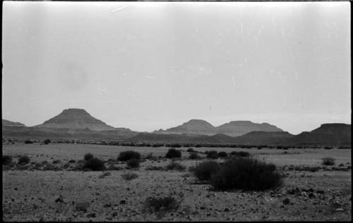 Brush, with hills in the distance