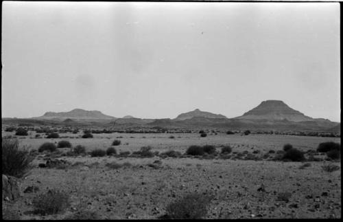 Brush, with hills in the distance