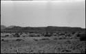 Brush, with hills in the distance