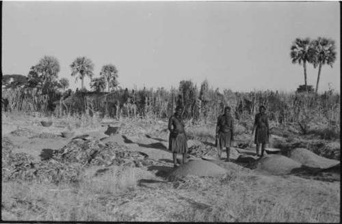 Three women standing next to piles of grain