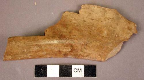 "Oracle bone"- inscribed