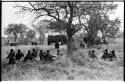 Group under a tree with expedition trucks in the background