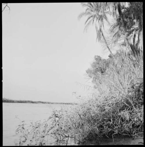 View of Okavango River