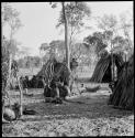 Kumsa cutting something next to a tree, children; seated women and skerms in the background