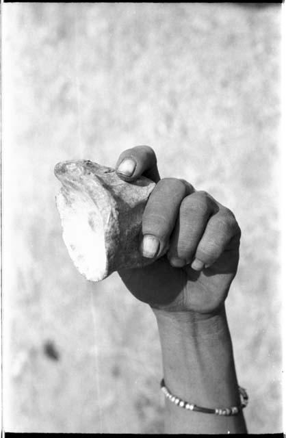 Bone from the knee of the antelope used for a dish for mixing poison, held in a person's hand