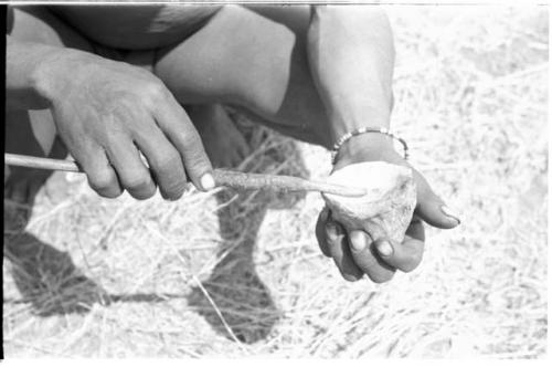 Person's hands holding a bone and a mixing stick