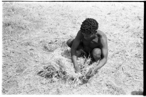 ≠Toma lining a carrying net with grass