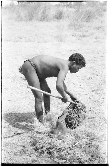 ≠Toma bending over a net with a stick