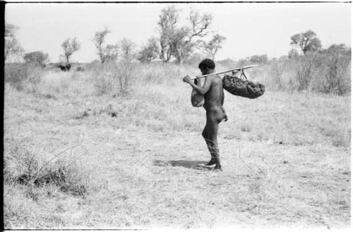 Back view of ≠Toma, standing with a carrying stick, from a distance