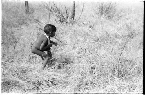 /Gaishay stalking something in the grass