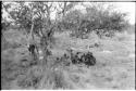 Group of Ju/'hoansi sitting in a cluster under a tree