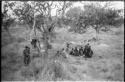 Group of Ju/'hoansi sitting in a cluster under a tree, with a woman holding a baby standing apart