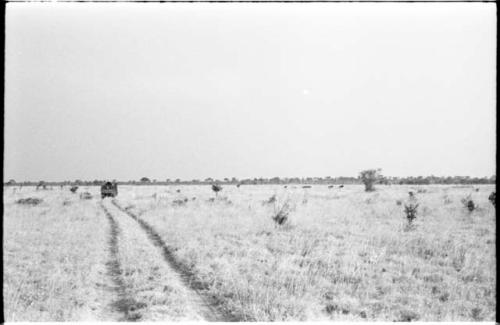 Expedition truck from a distance, with wildebeest running to the right