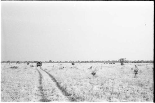 Expedition truck from a distance, with wildebeest running to the right