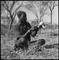 Bela cleaning wart-hog tusks, wearing turban and shirt