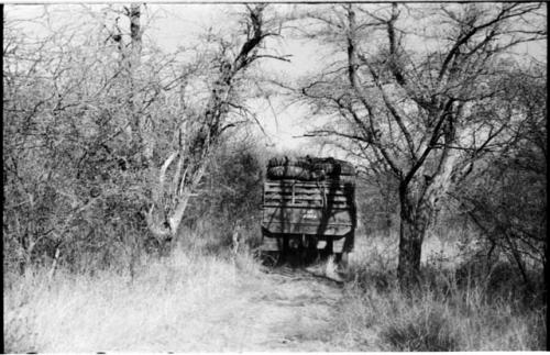 Expedition truck (Dodge) in the road