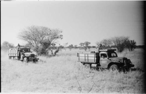 Expedition trucks in the grass, with trees in background