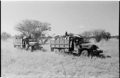 Expedition trucks in the grass, with trees in background