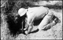 Robert Story pulling out a root, close-up