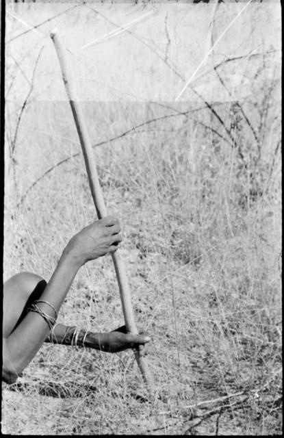 Person demonstrates how hands hold a digging stick, close-up