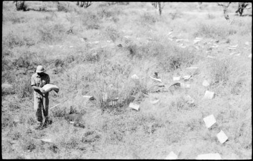 Robert Story spreading papers to dry on the grass, distant view