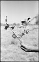 Robert Story holding up a plant specimen, a branch with leaves