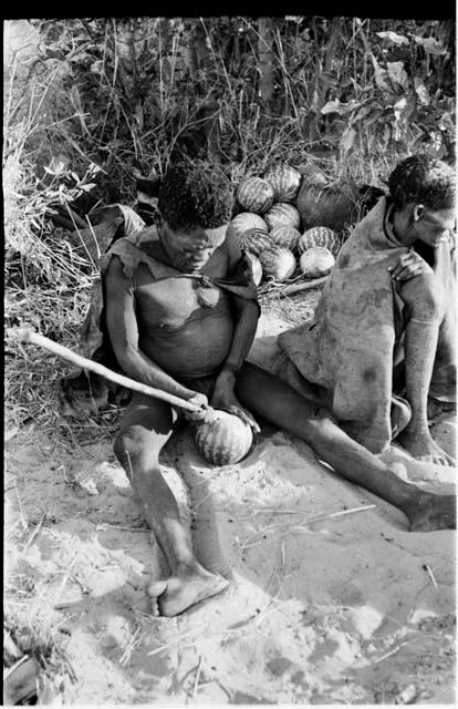 Oukwane opening a tsama melon with a digging stick