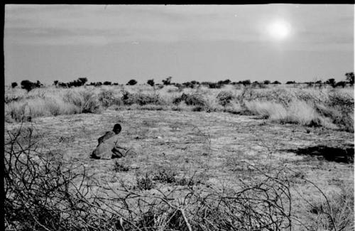 /Twikwe clearing ground with a digging stick, distant view