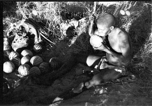 !Gai sitting eating a tsama melon