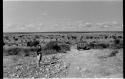 Elizabeth Marshall Thomas standing by the road, a truck going down a hill