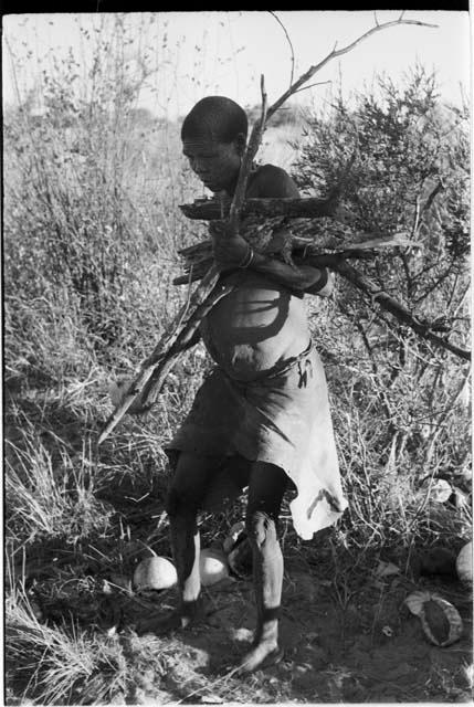 /Twikwe carrying wood